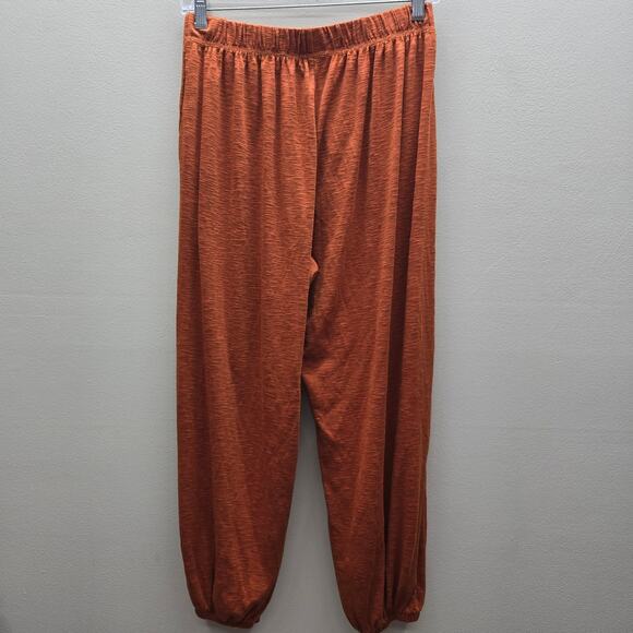 Aerie NWT Oversized Nomad Pants Pockets Elastic Waist Burnt Orange Size Small - Picture 2 of 7